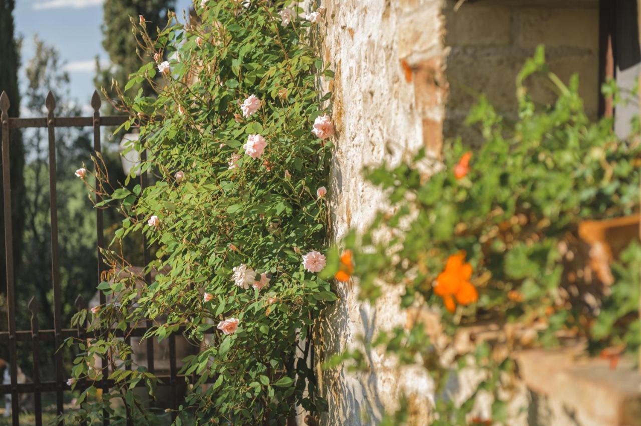 Agriturismo Cretaiole Pienza Exterior photo