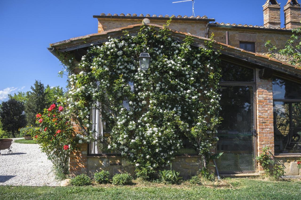 Agriturismo Cretaiole Pienza Exterior photo