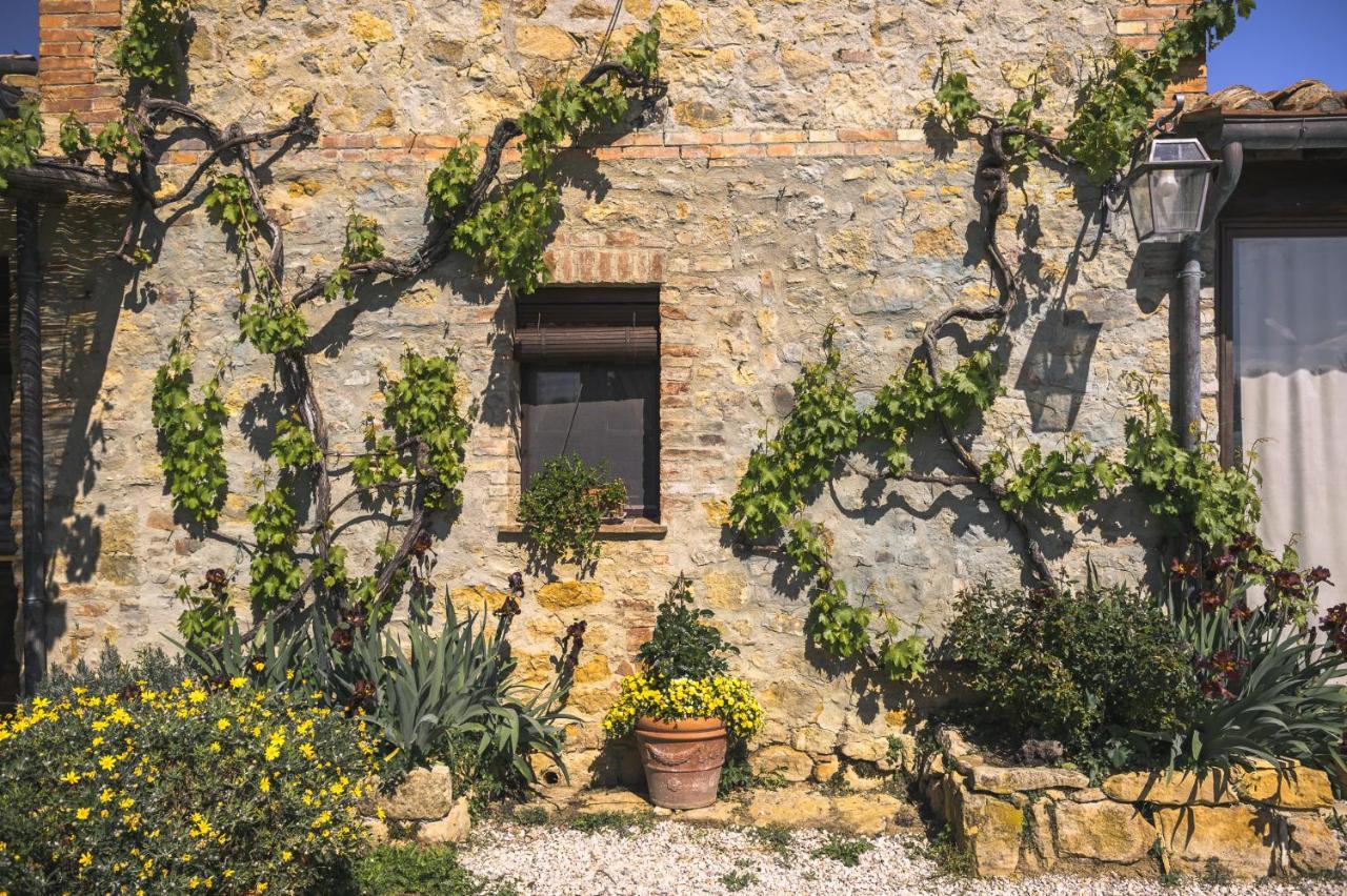 Agriturismo Cretaiole Pienza Exterior photo