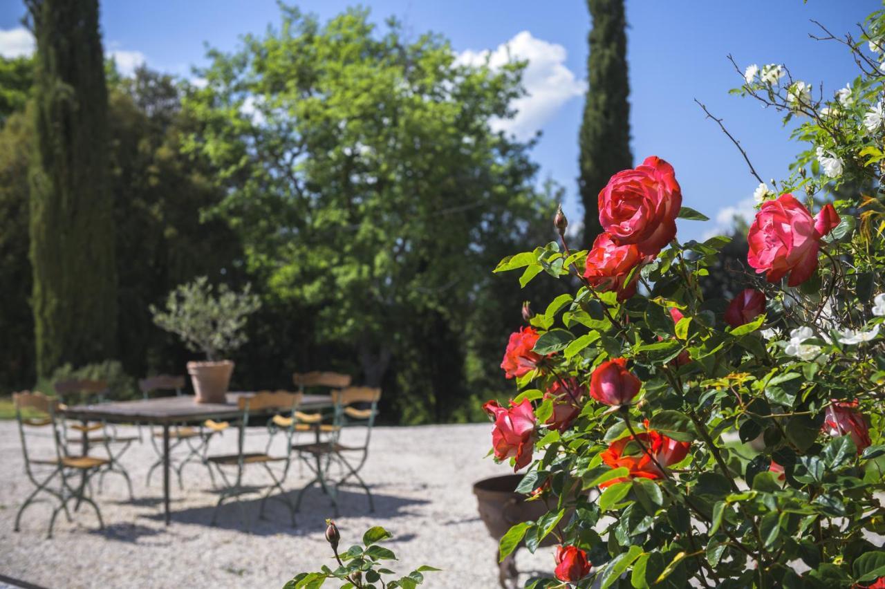 Agriturismo Cretaiole Pienza Exterior photo